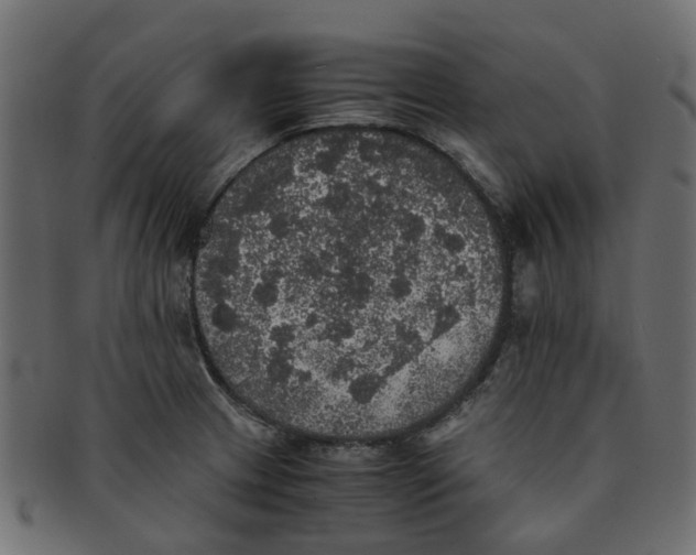 X0000091551233200709071209
