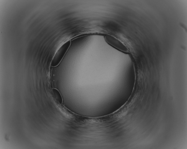X0000091551234200709071209