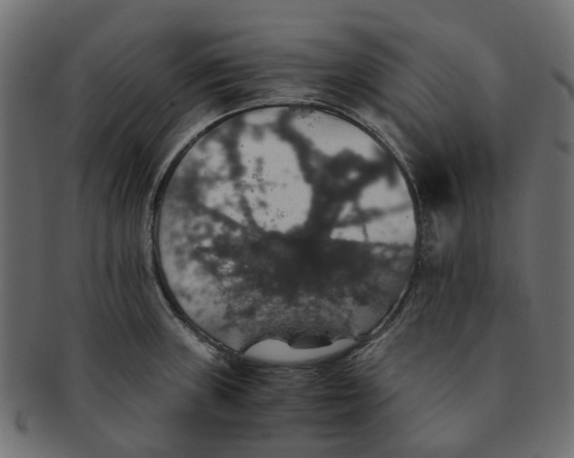 X0000091551235200709071209