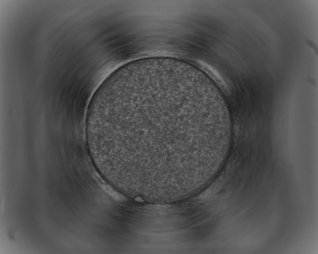 X0000091551236200709071209