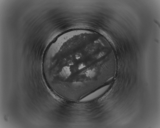 X0000091551237200709071209