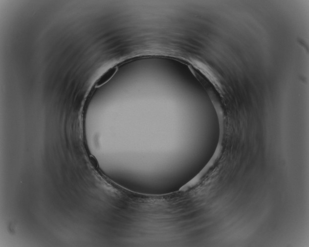 X0000091551238200709071209