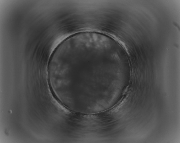 X0000091551239200709071209