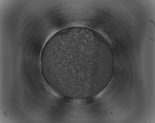 X0000091551240200709071209