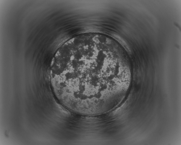 X0000091551241200709071209