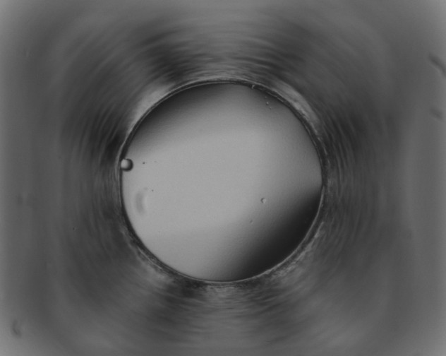X0000091551242200709071209