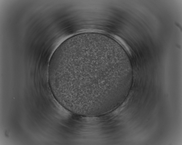 X0000091551244200709071209