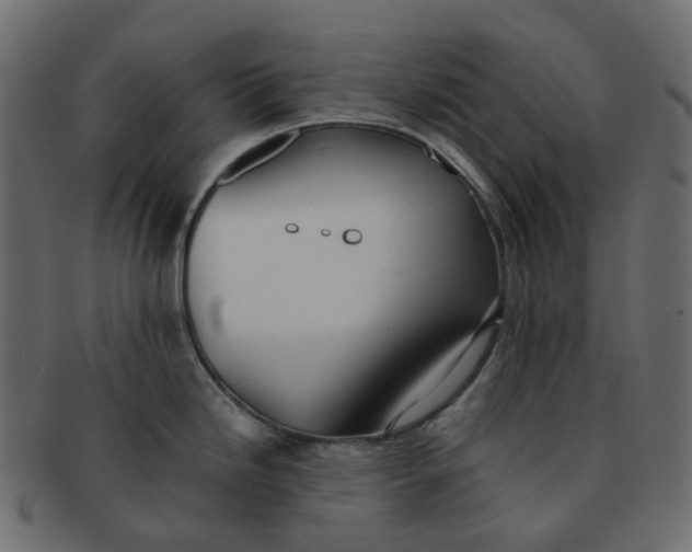 X0000091551246200709071209