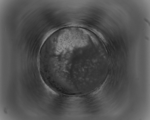 X0000091551247200709071209