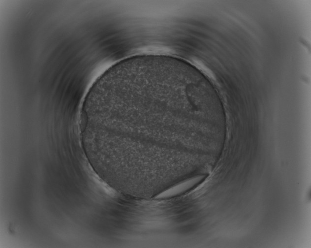 X0000091551248200709071209
