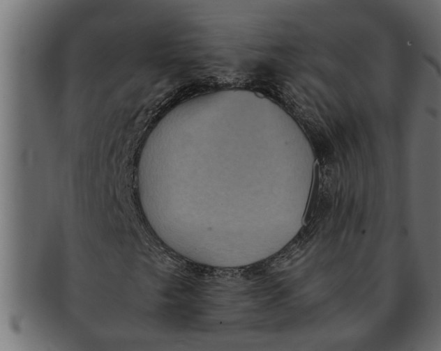 X0000091551249200709071208