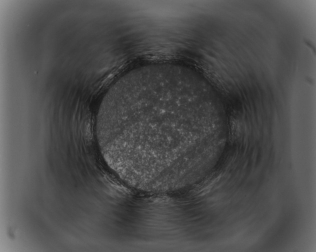 X0000091551250200709071208