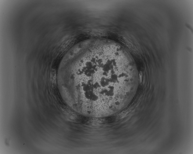 X0000091551251200709071208