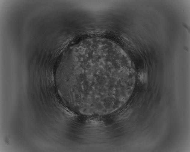 X0000091551252200709071208
