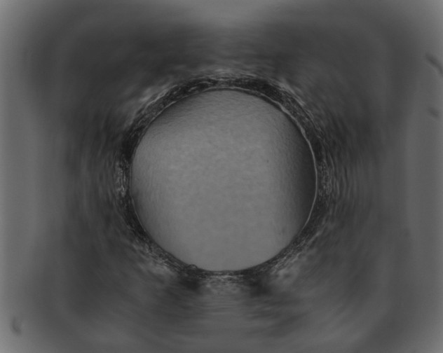 X0000091551253200709071208