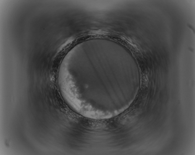 X0000091551254200709071208