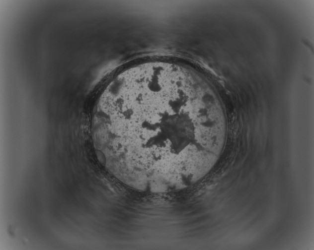 X0000091551255200709071208