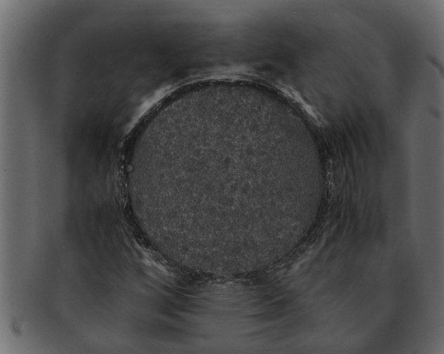 X0000091551256200709071208