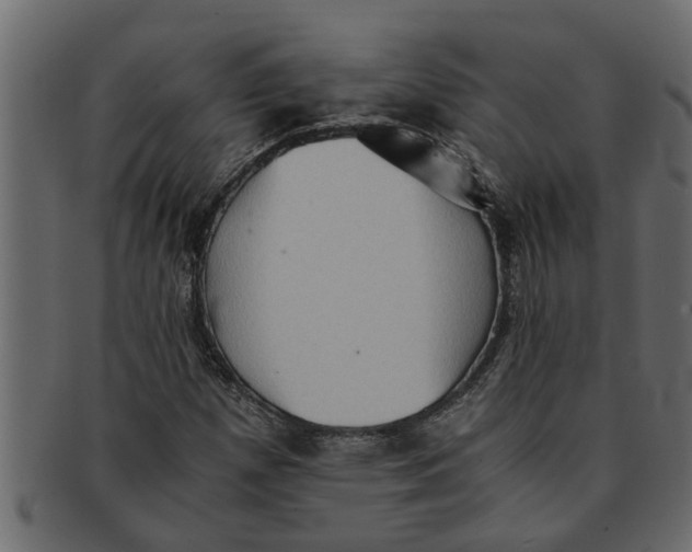 X0000091551257200709071208