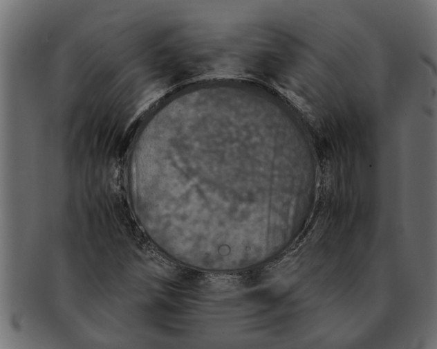 X0000091551258200709071208
