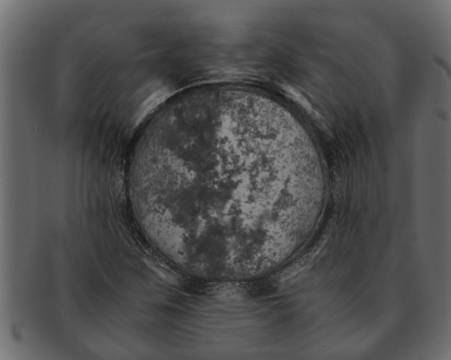 X0000091551259200709071208
