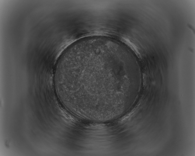 X0000091551260200709071208