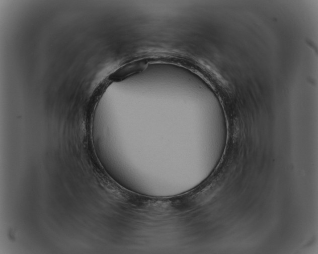 X0000091551261200709071208