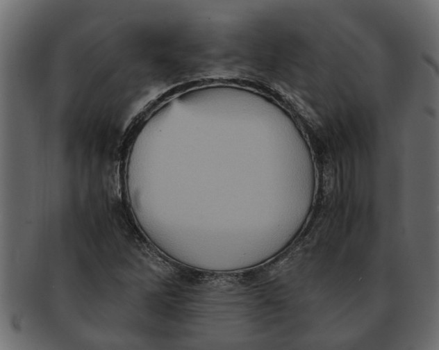 X0000091551262200709071208