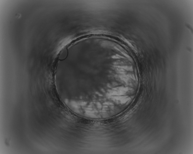 X0000091551263200709071208