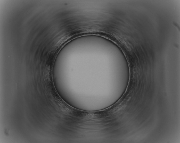 X0000091551265200709071208