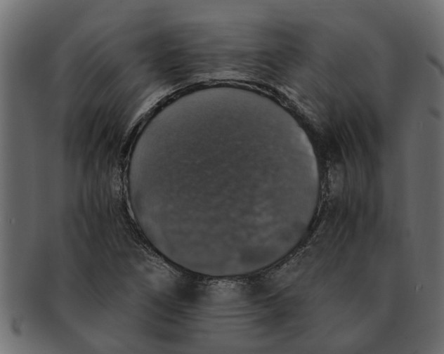 X0000091551266200709071208