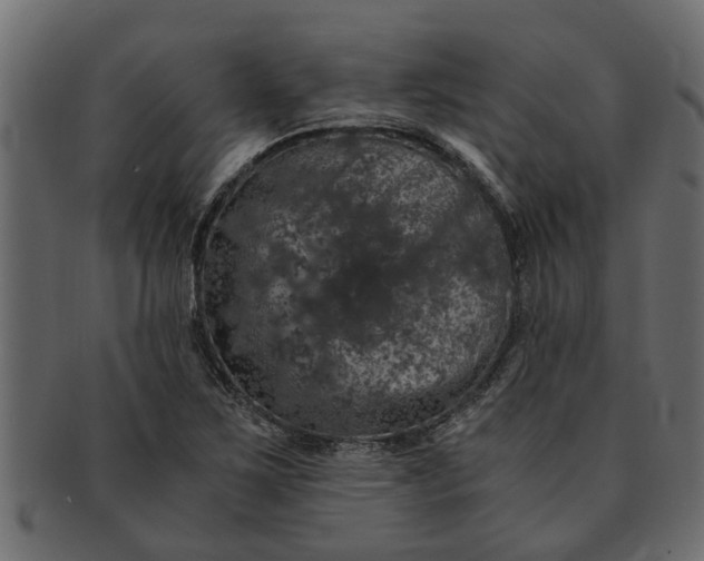 X0000091551267200709071208