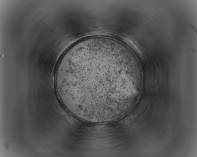 X0000091551268200709071208