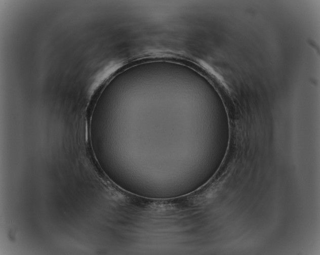X0000091551269200709071208