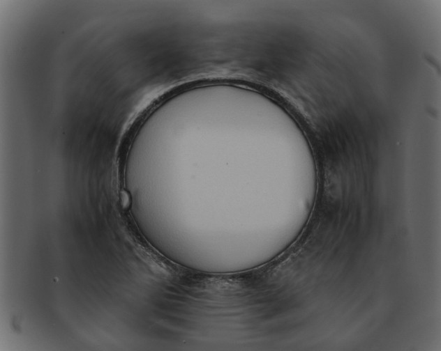 X0000091551270200709071208