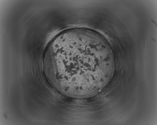 X0000091551271200709071208
