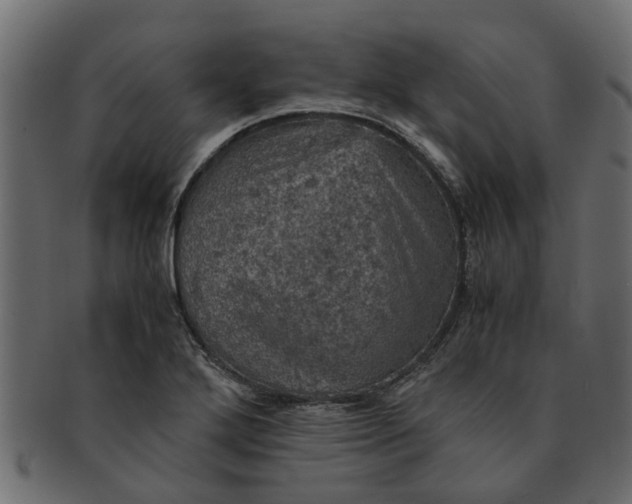 X0000091551272200709071208