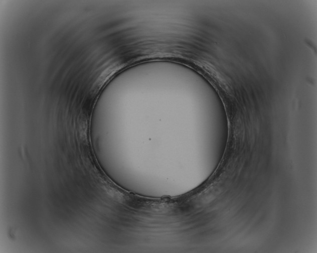 X0000091551273200709071208