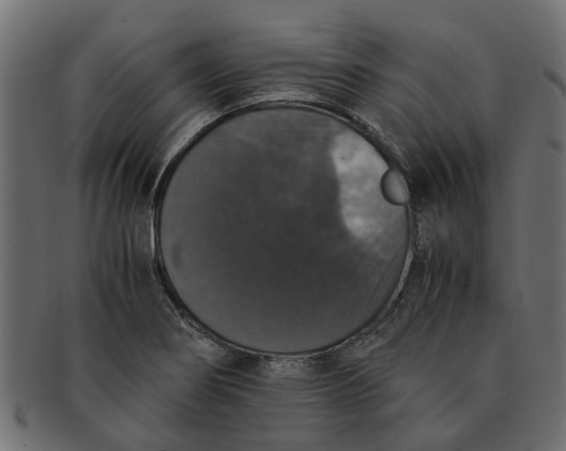 X0000091551274200709071208