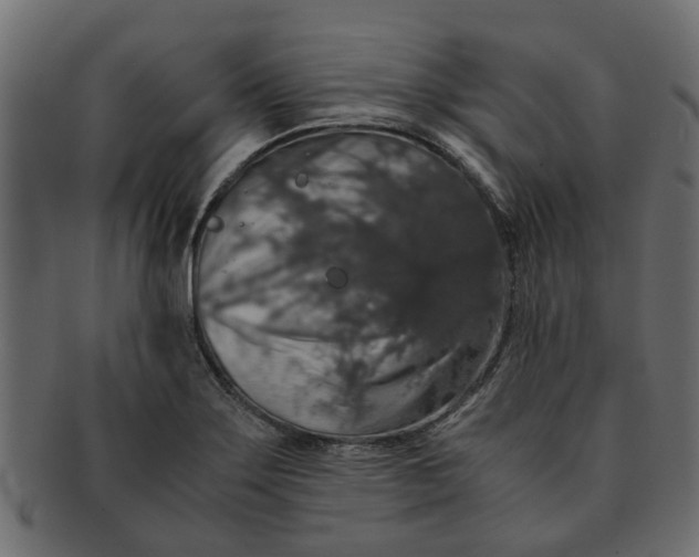 X0000091551275200709071208