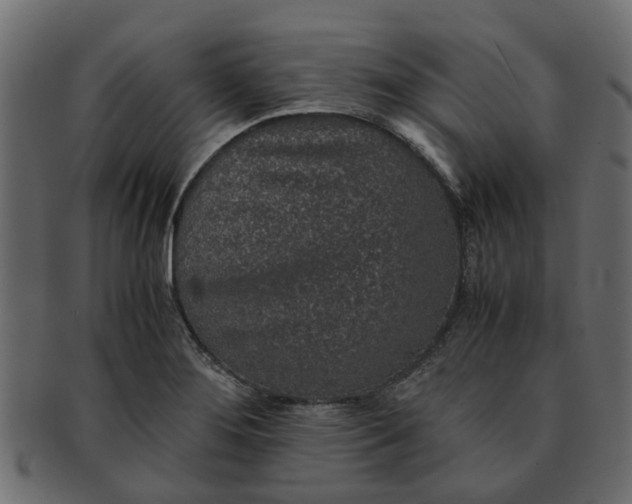 X0000091551276200709071208