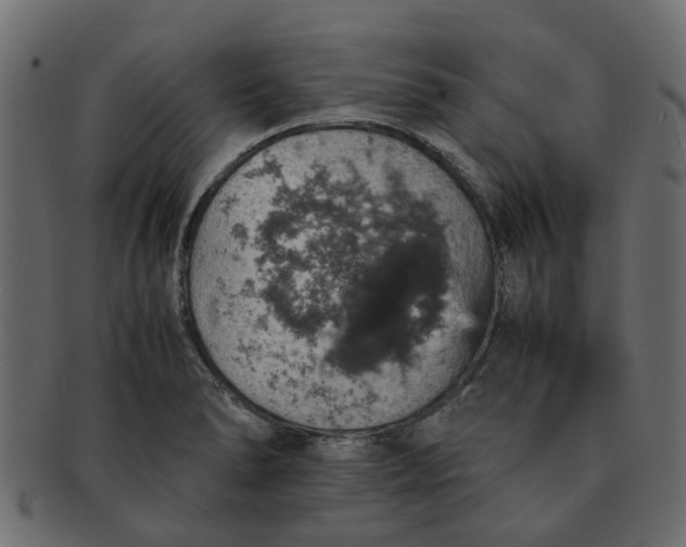 X0000091551278200709071208