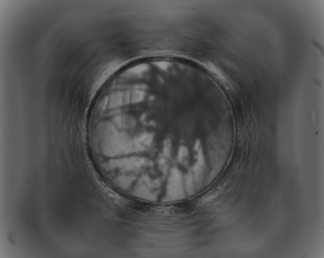 X0000091551279200709071208