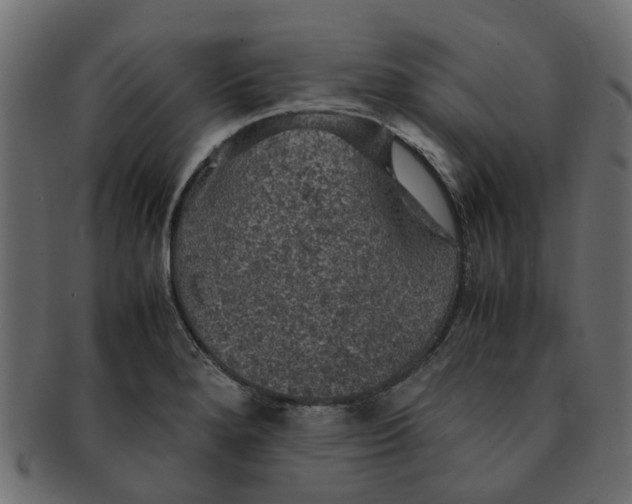 X0000091551280200709071208