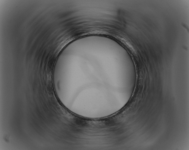 X0000091551281200709071208