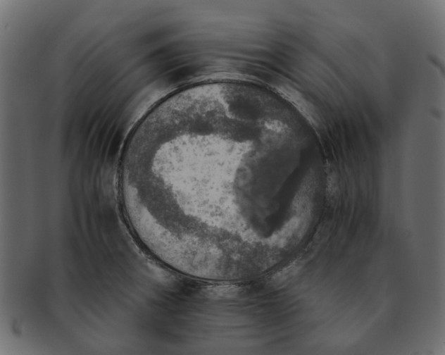 X0000091551282200709071208