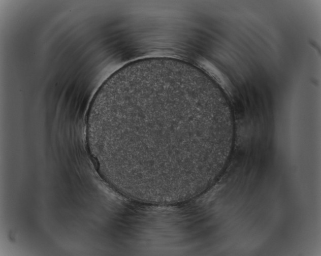 X0000091551284200709071208