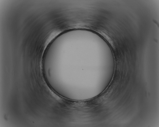 X0000091551285200709071208