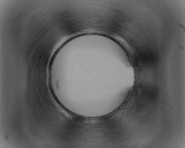 X0000091551286200709071208