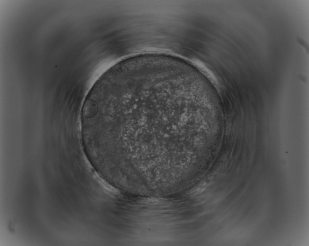 X0000091551287200709071208